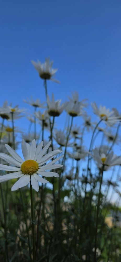 Photograph by Людмила