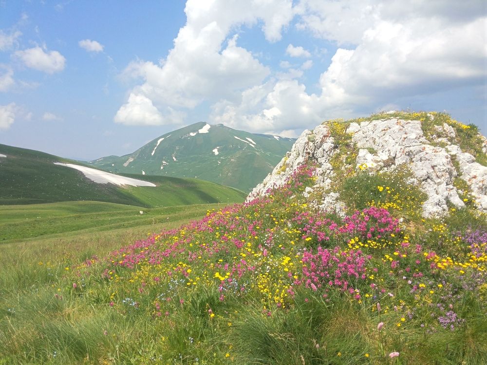 Photograph by Людмила