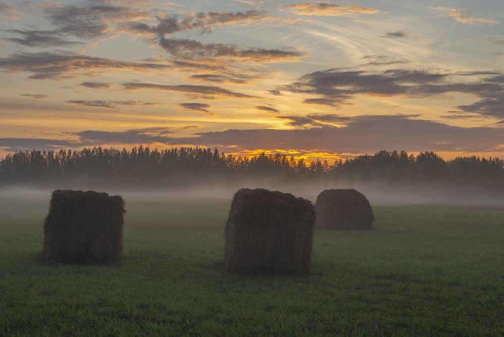 Photograph by Николай Лысцев