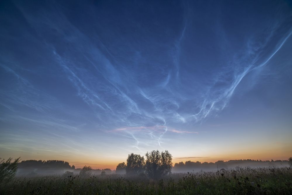 Photograph by Николай Лысцев