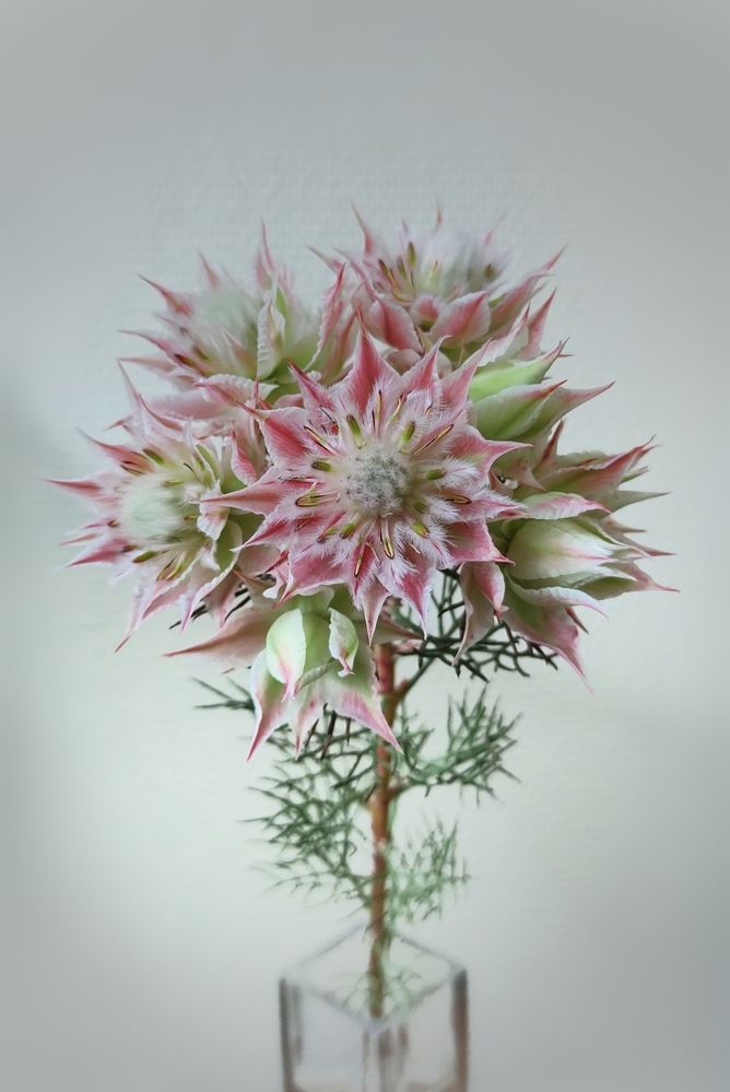 Photograph by Оксана Лоншакова