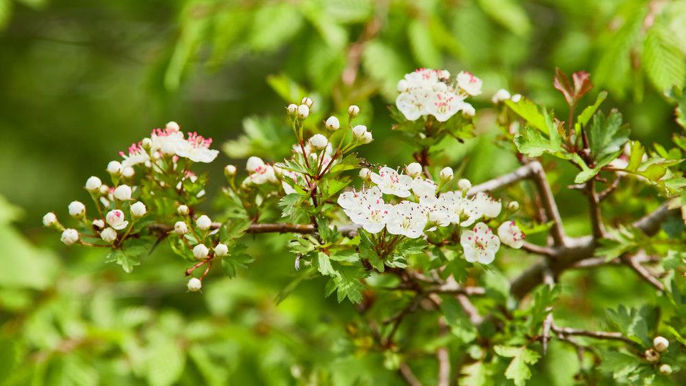 Photograph by Анастасия Васина