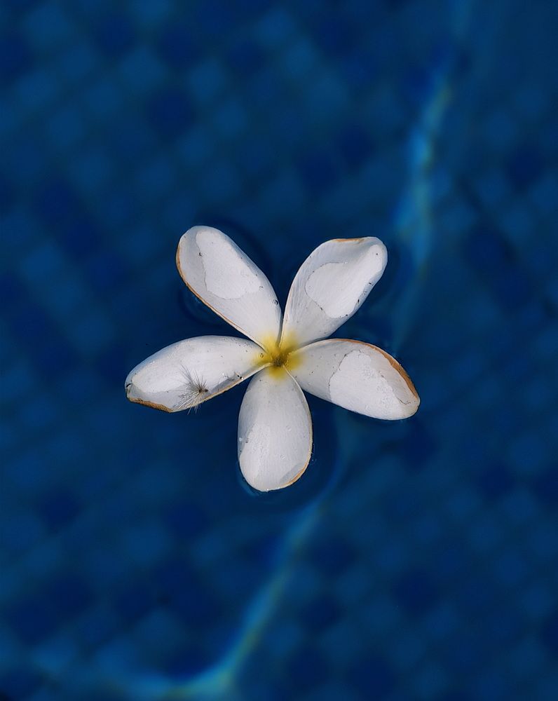 Photograph by Кристина Феминова