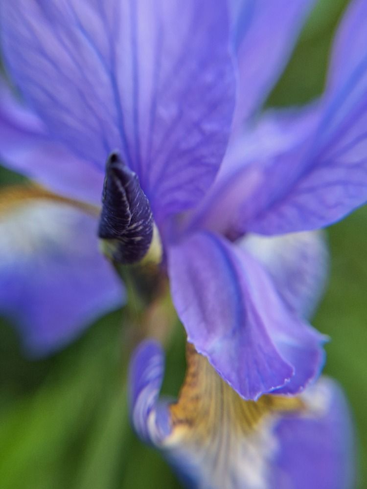 Photograph by Ольга Мольдон