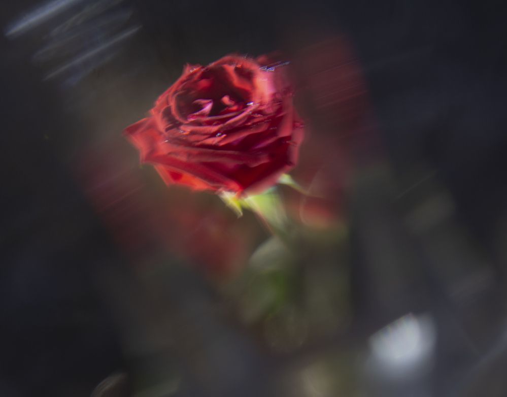 Photograph by Игорь Смирнов