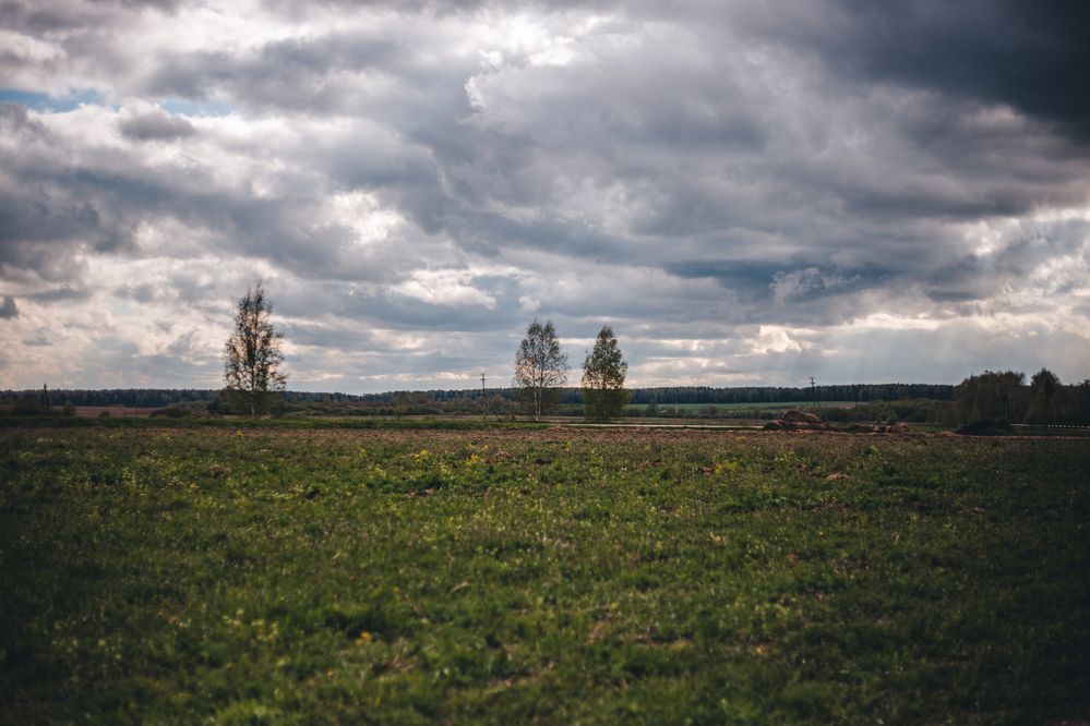 Photograph by Софья Титова