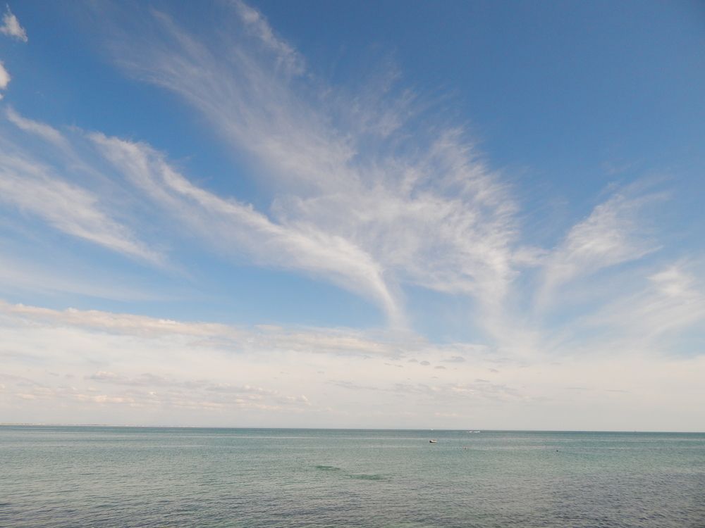 Photograph by Tanivsv