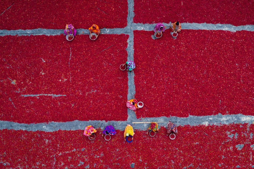 Photograph by Arkodeep Roy