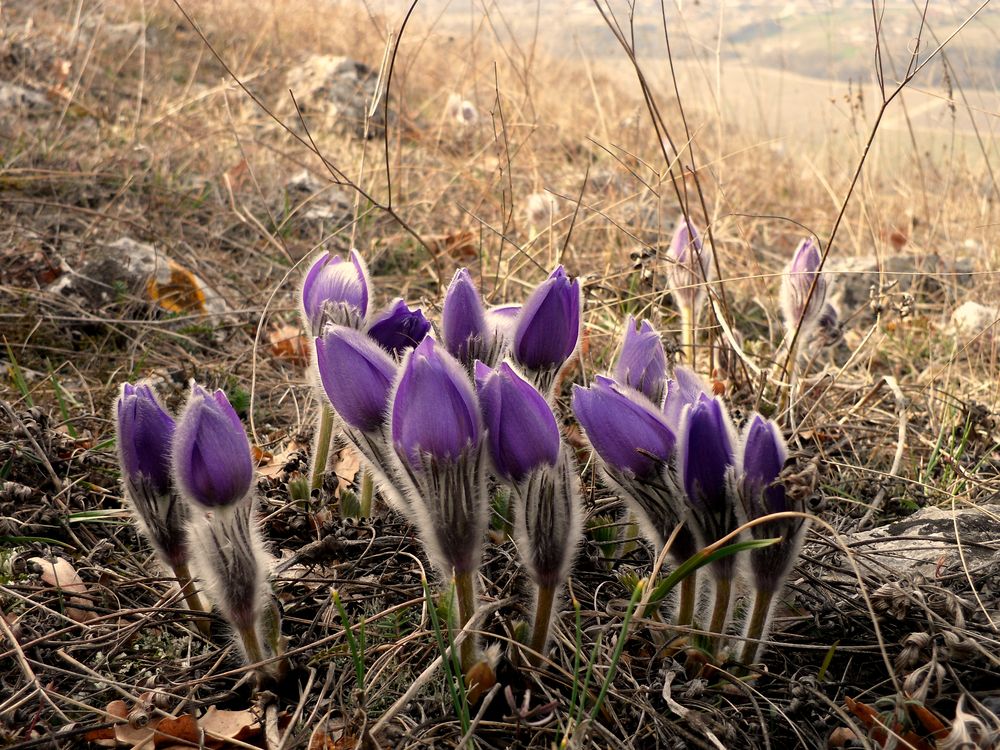 Photograph by Татьяна Стаскевич