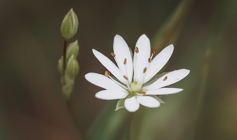 Photograph by Марина Суздаль
