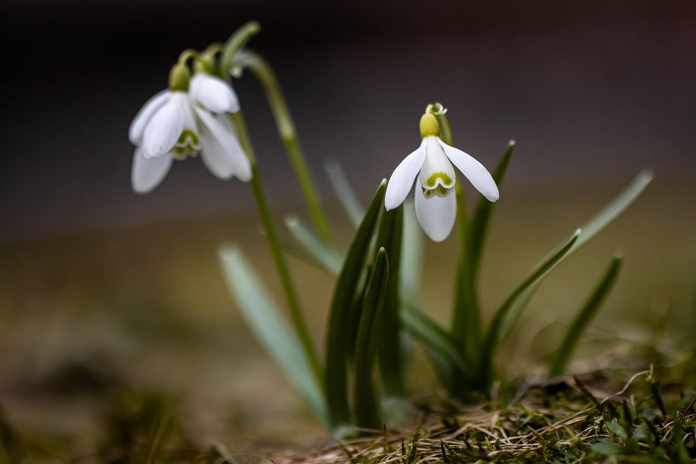 Photograph by Волынский Виктор