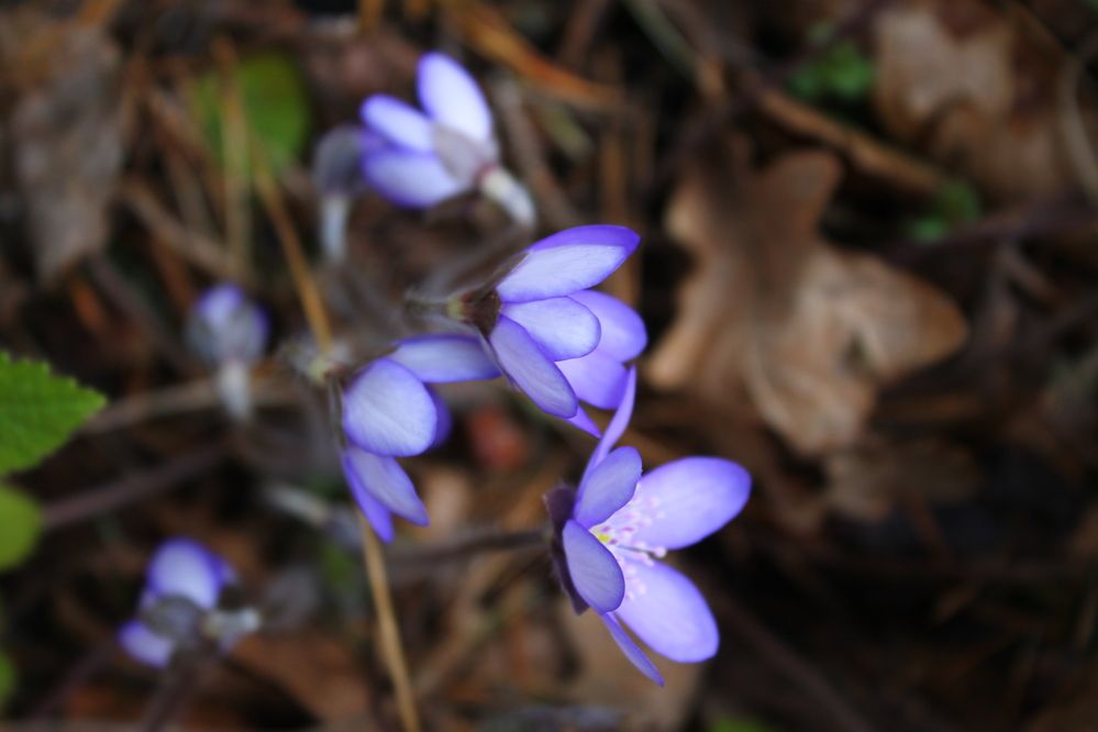 Photograph by Любовь