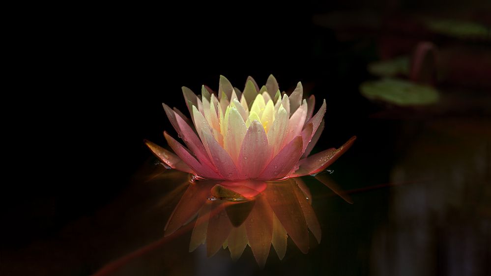 Photograph by Владимир Ходаковский