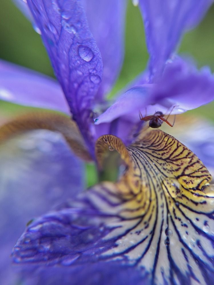 Photograph by Ольга Мольдон