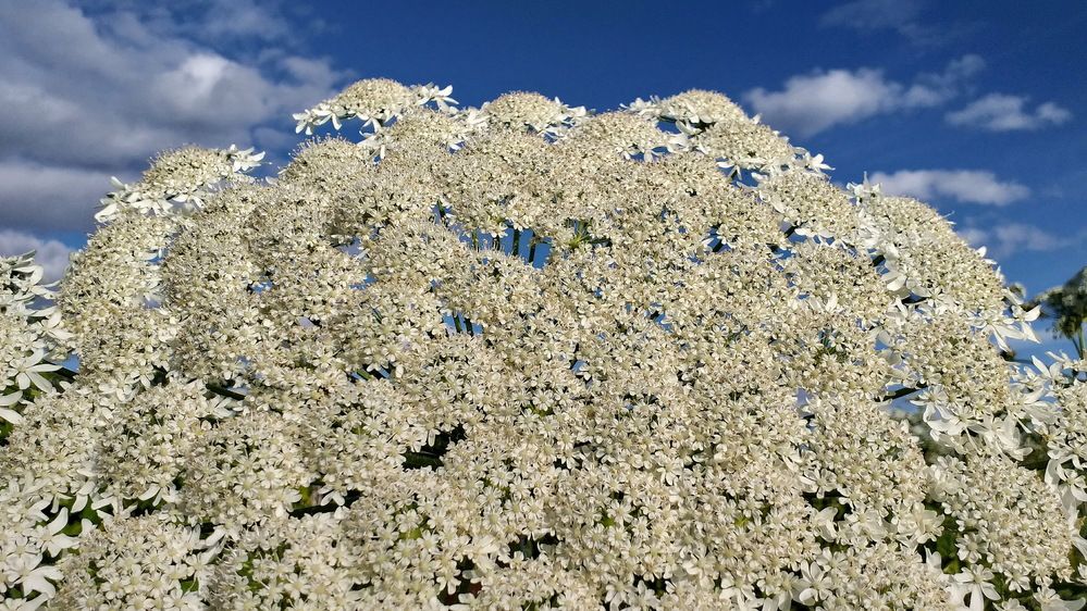 Photograph by Евгений Устинов