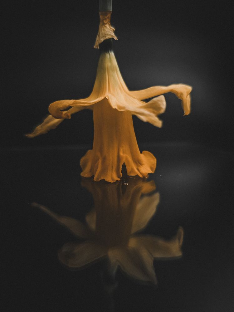 Фотография автора Марина Алексеевская