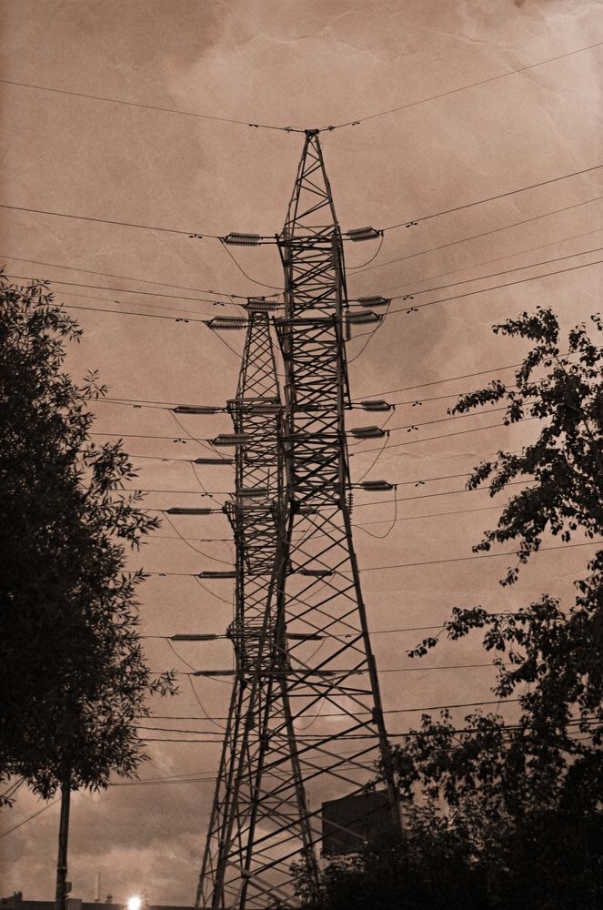 Photograph by Светлана Логинова