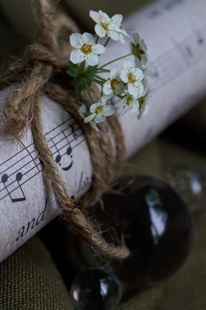 Фотография автора Марина Алексеевская