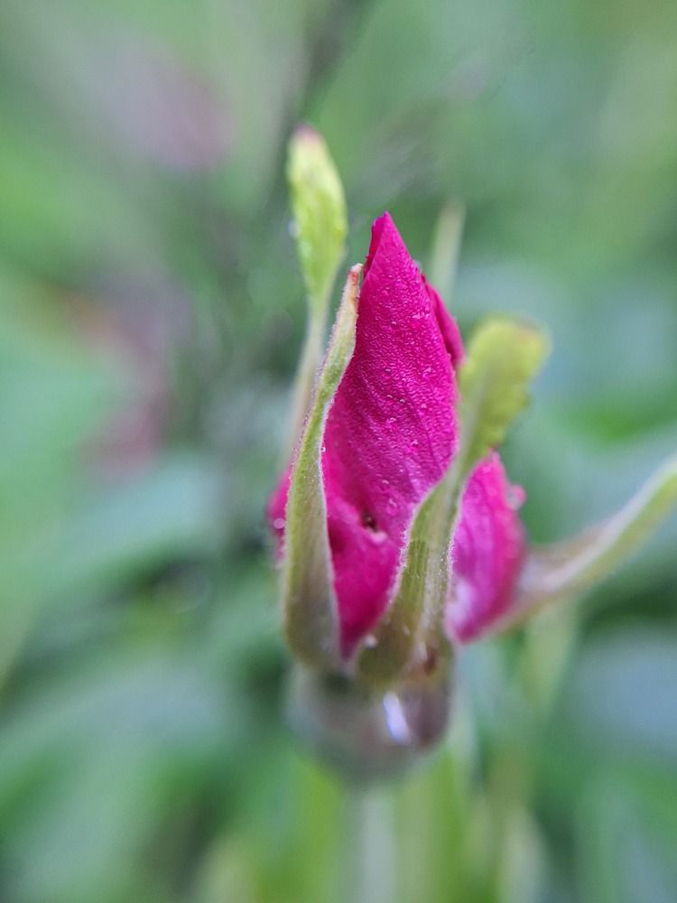 Photograph by Ольга Мольдон