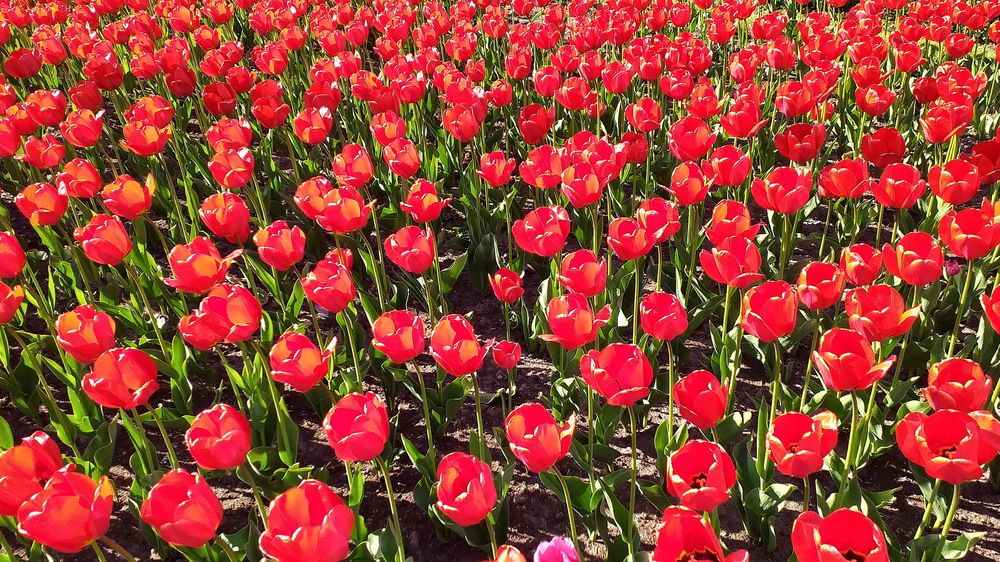 Photograph by Евгений Устинов