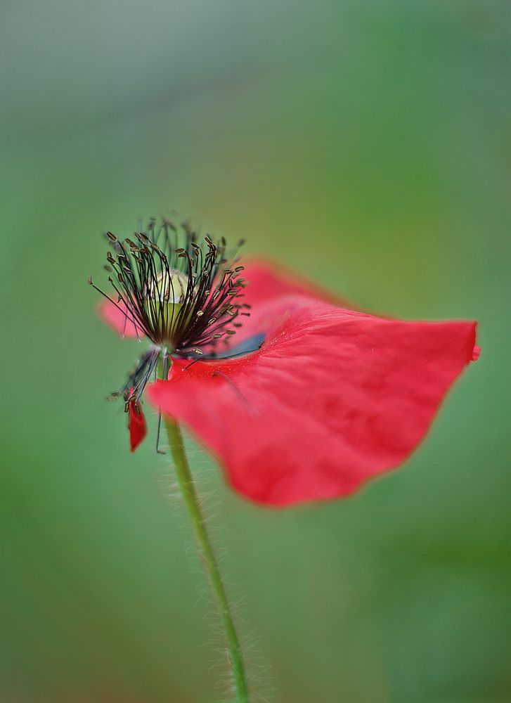 Photograph by Виктория Уварова