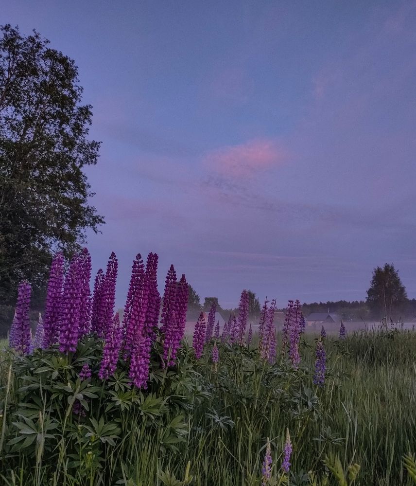 Фотография автора Светлана Смирнова