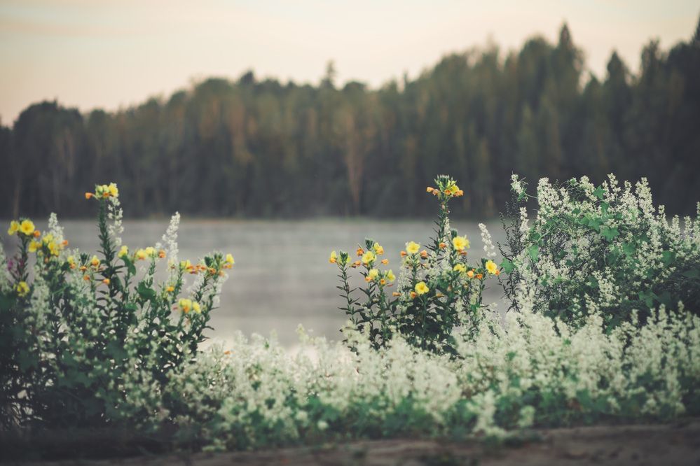 Photograph by Марина Пехтерева