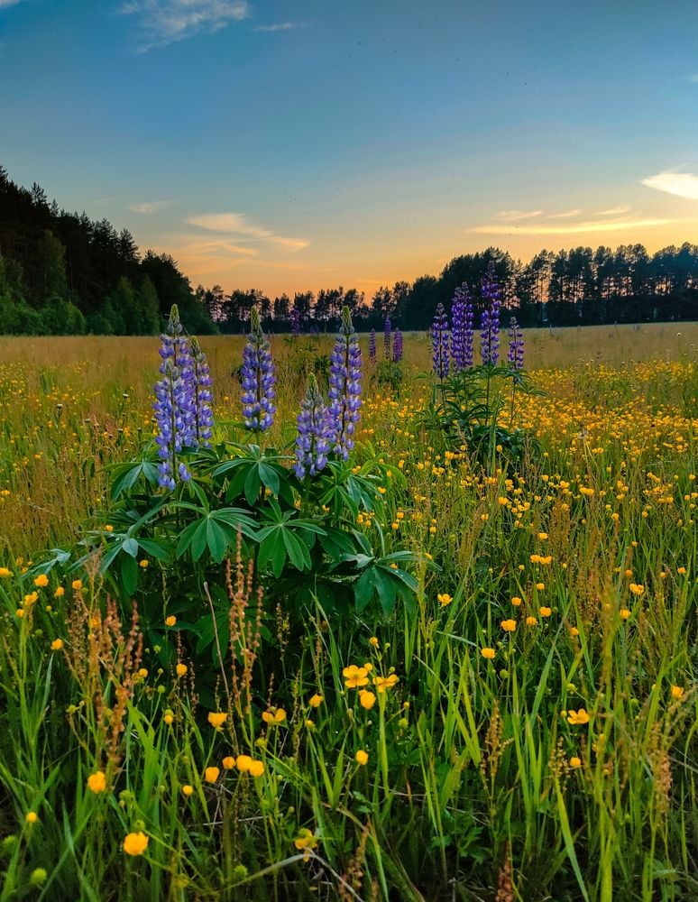 Фотография автора Светлана Смирнова