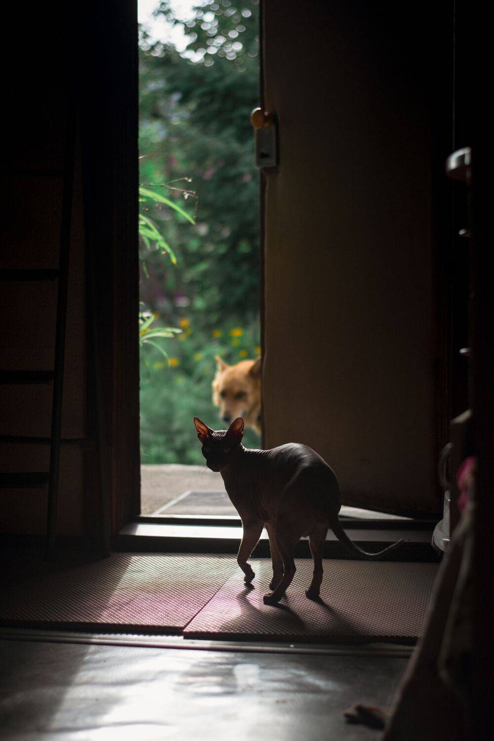 Photo #12503907