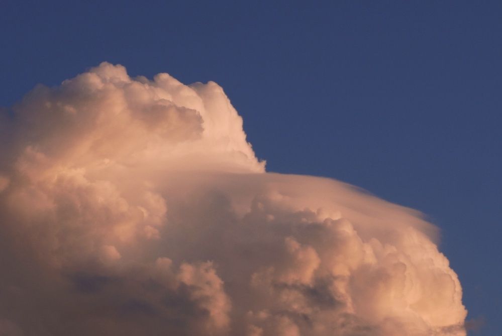 Фотография автора Анастасия Мешкова