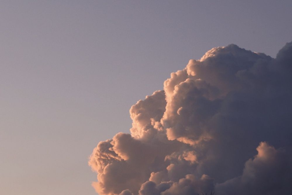 Фотография автора Анастасия Мешкова