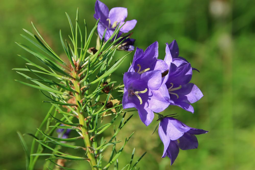 Photograph by Алексей Федулов