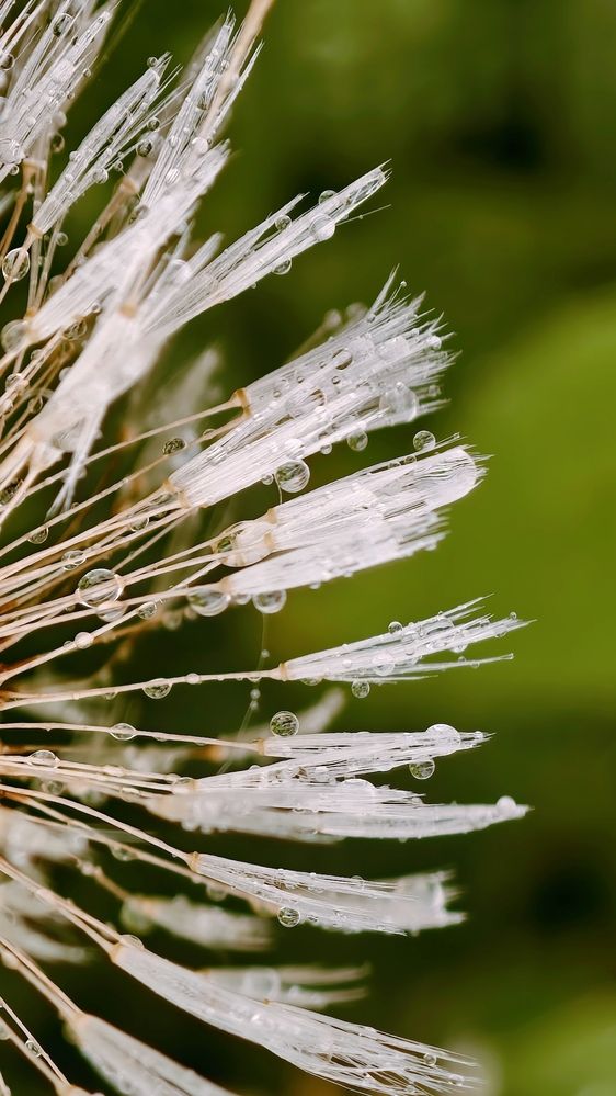 Photograph by Елена Кадаева