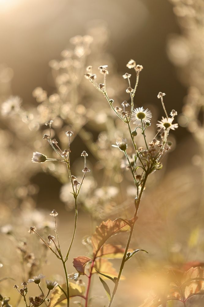 Photograph by Юлия Голубкова