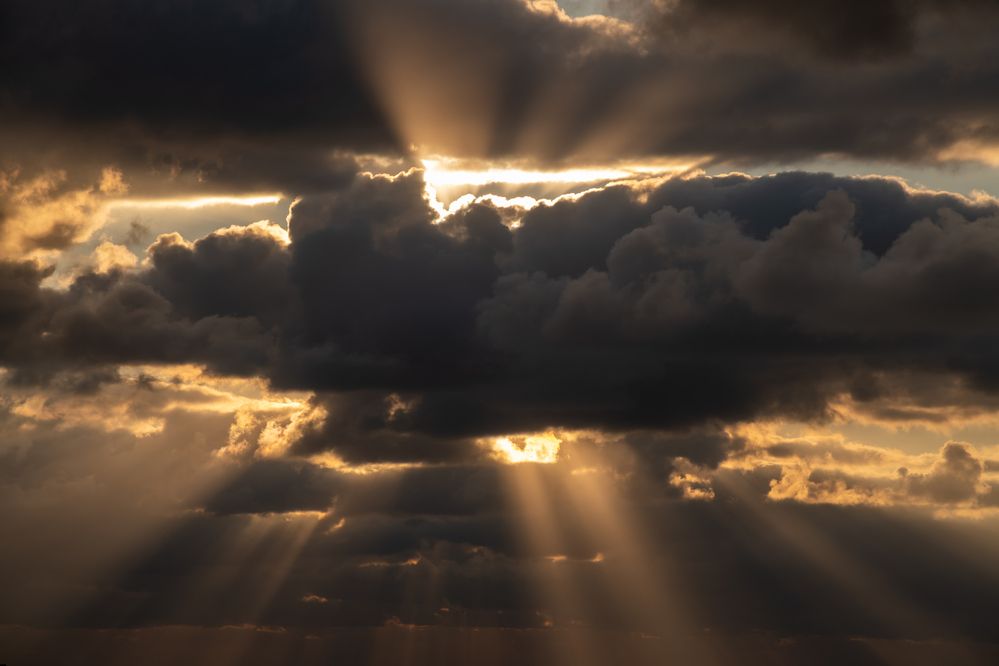 Photograph by Рыков Андрей