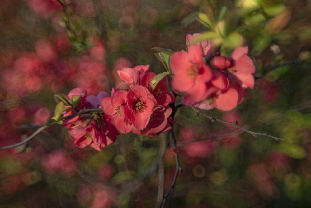 Photograph by Алексей Мякота