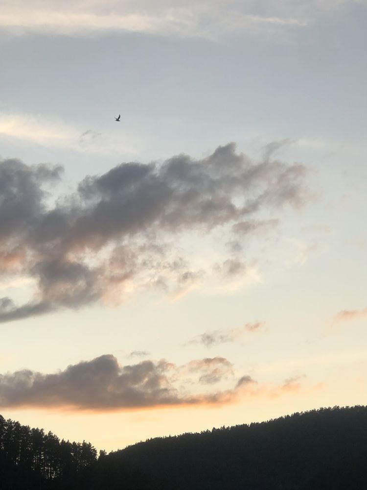 Фотография автора Светлана Гончарова