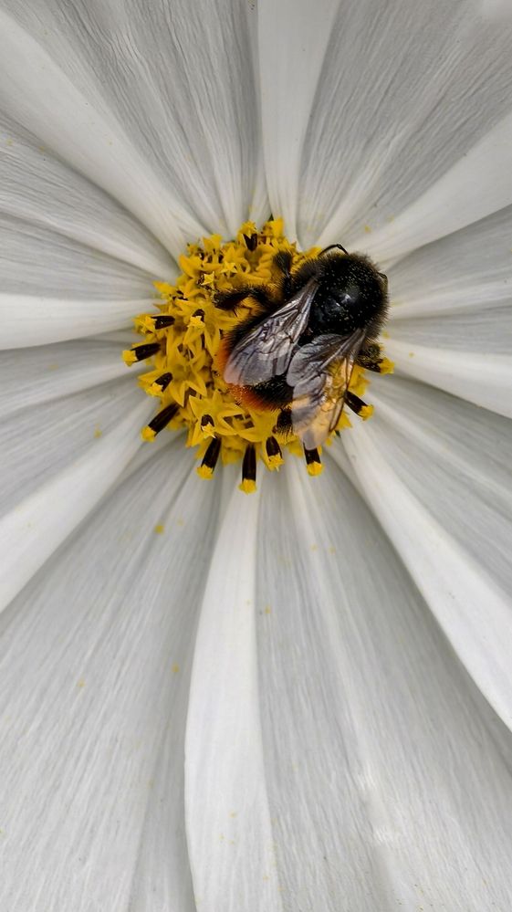 Photograph by Елена Кадаева