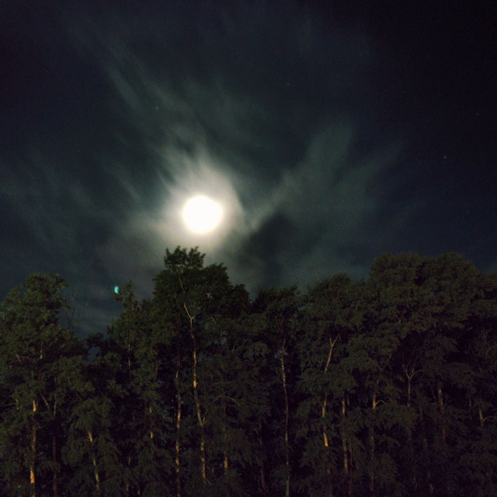 Photograph by Andrey Neleskin