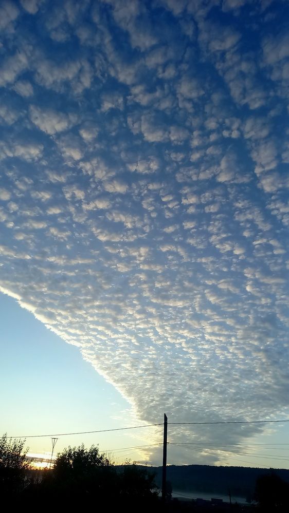 Photograph by Назмутдинова Сауия