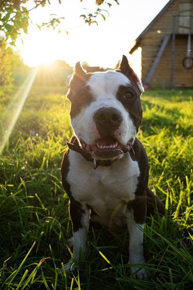 Photograph by Коростелев Владислав