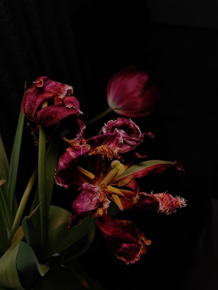 Фотография автора Ирина Петрукович