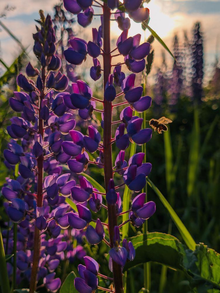 Photograph by Евгения Россоловская