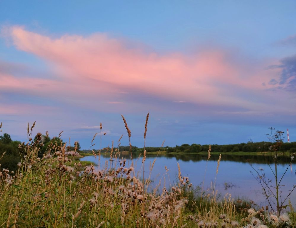 Фотография автора Светлана Смирнова