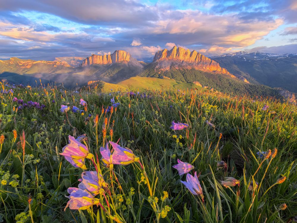 Photograph by Манаков Илья