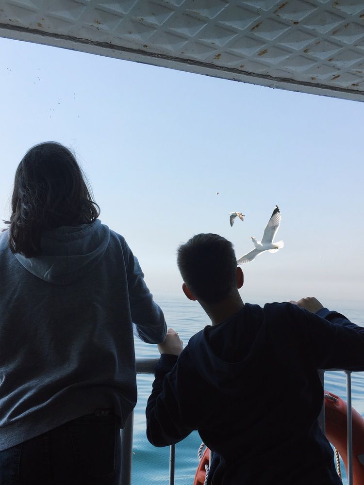 Фотография автора Марина Булатова