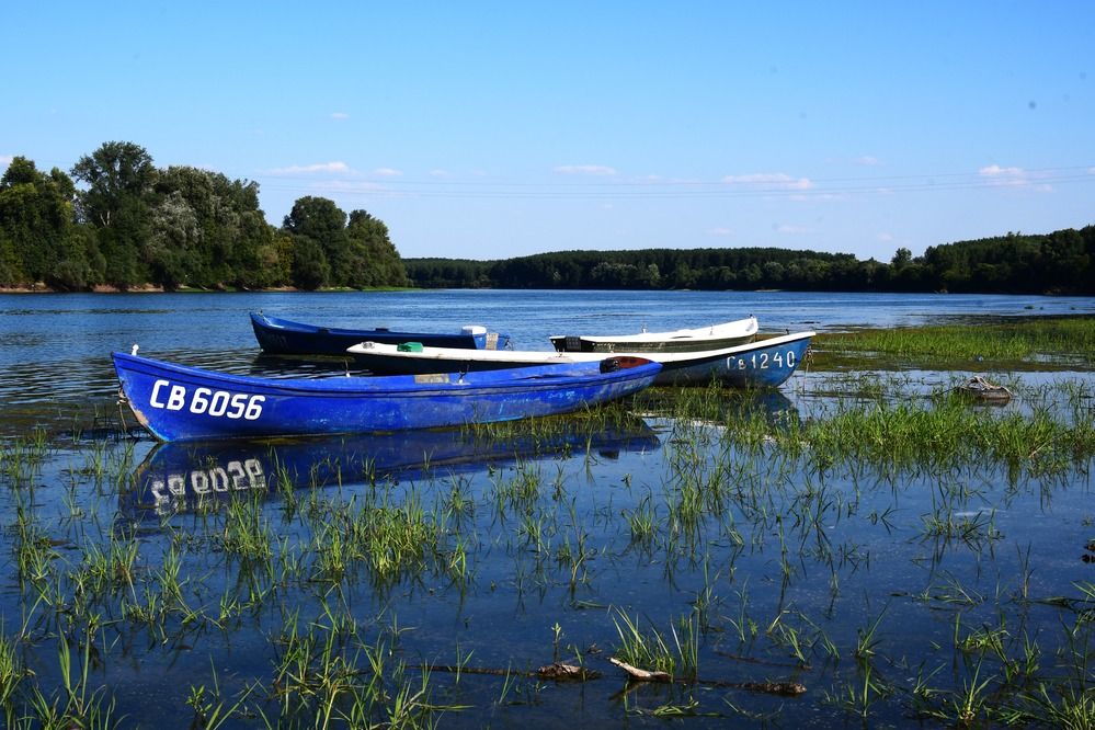 Boats on the river