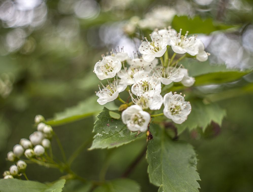 Photograph by Андрей Михайлин