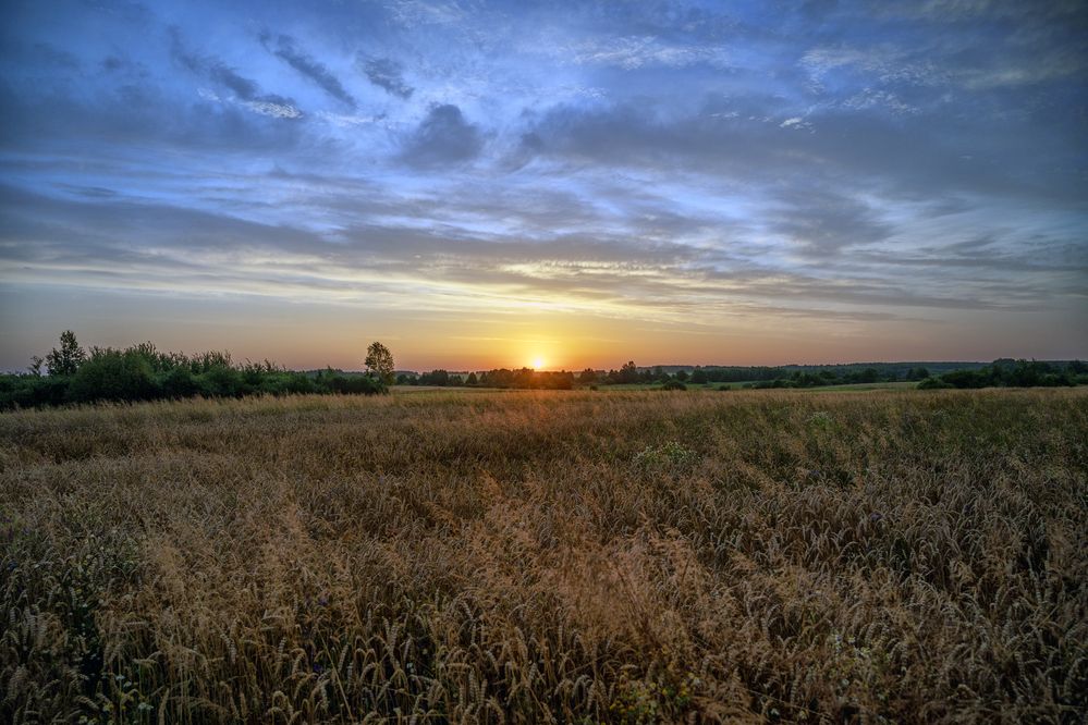 Photograph by Андрей Ныриков