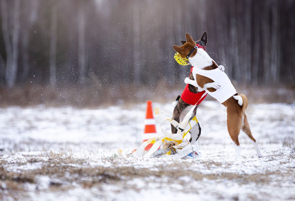 Photograph by Виолетта Бастет